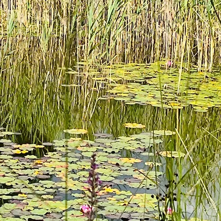 Arte Hafen Prien am Chiemsee